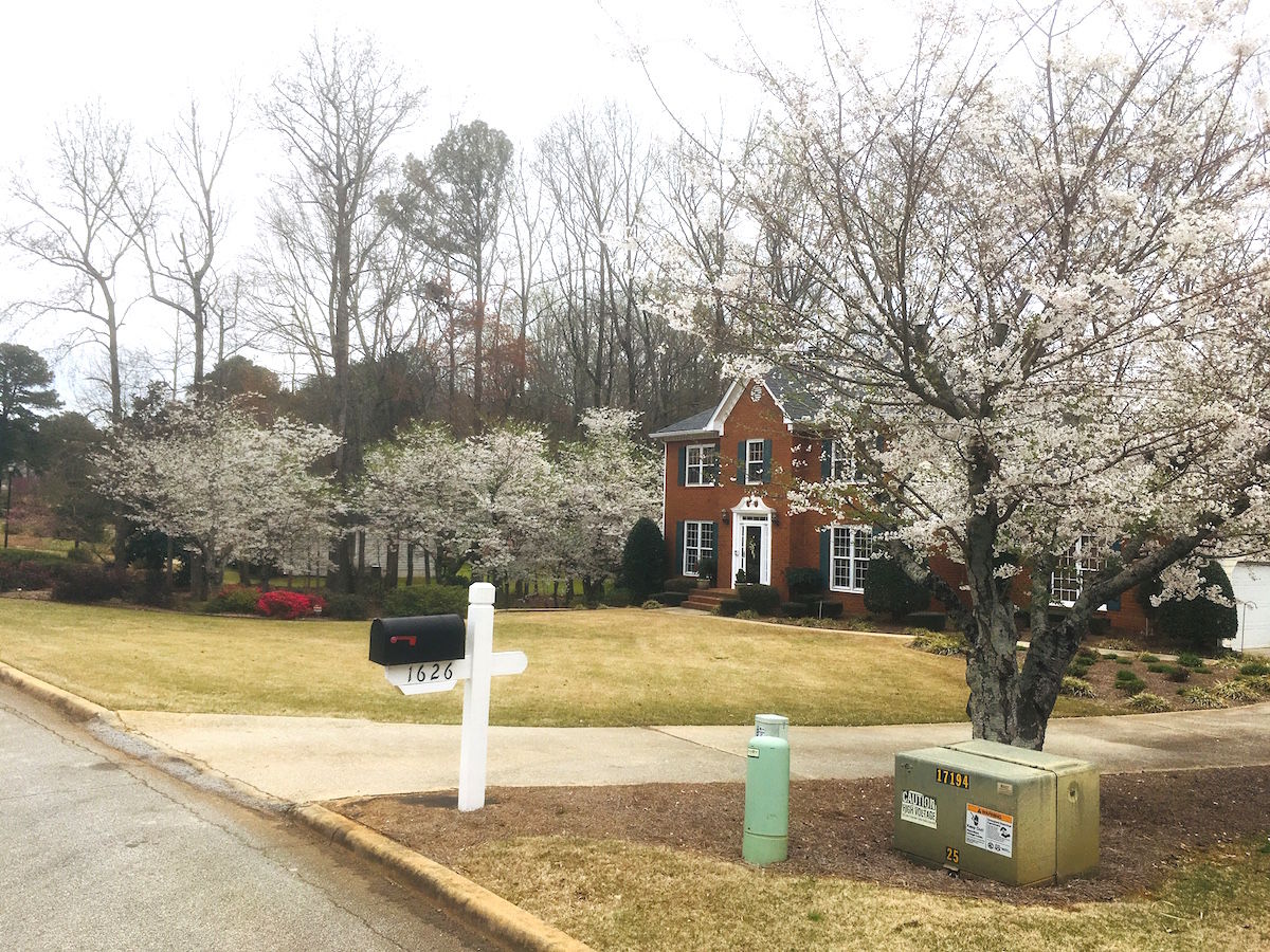 March Landscape of the Month